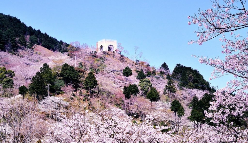 🌳 아부라야마 시민의 숲(아부라야마시민노모리) 이미지 3